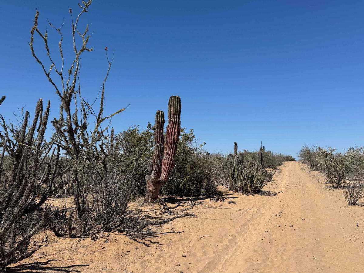 East-West Connection trail photo