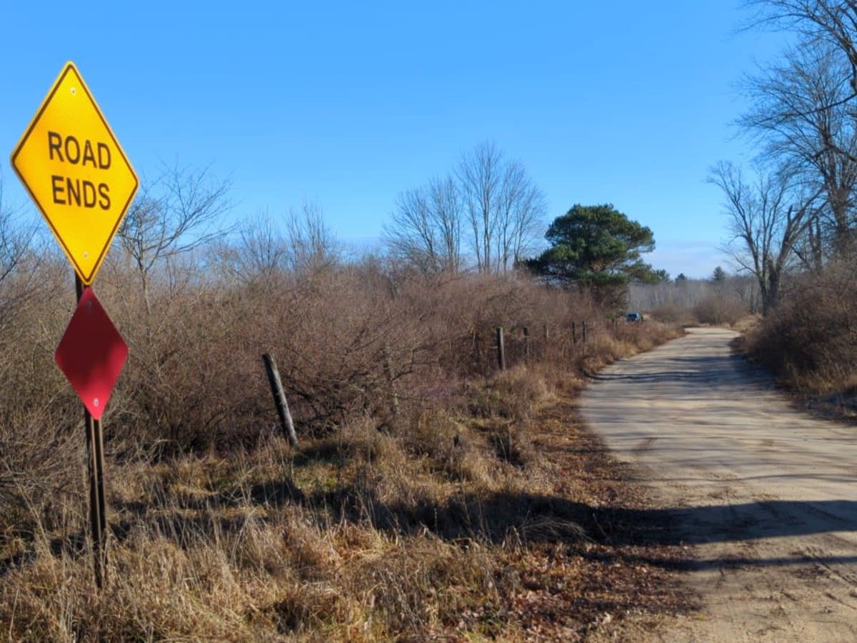 Mosquito Creek trail photo