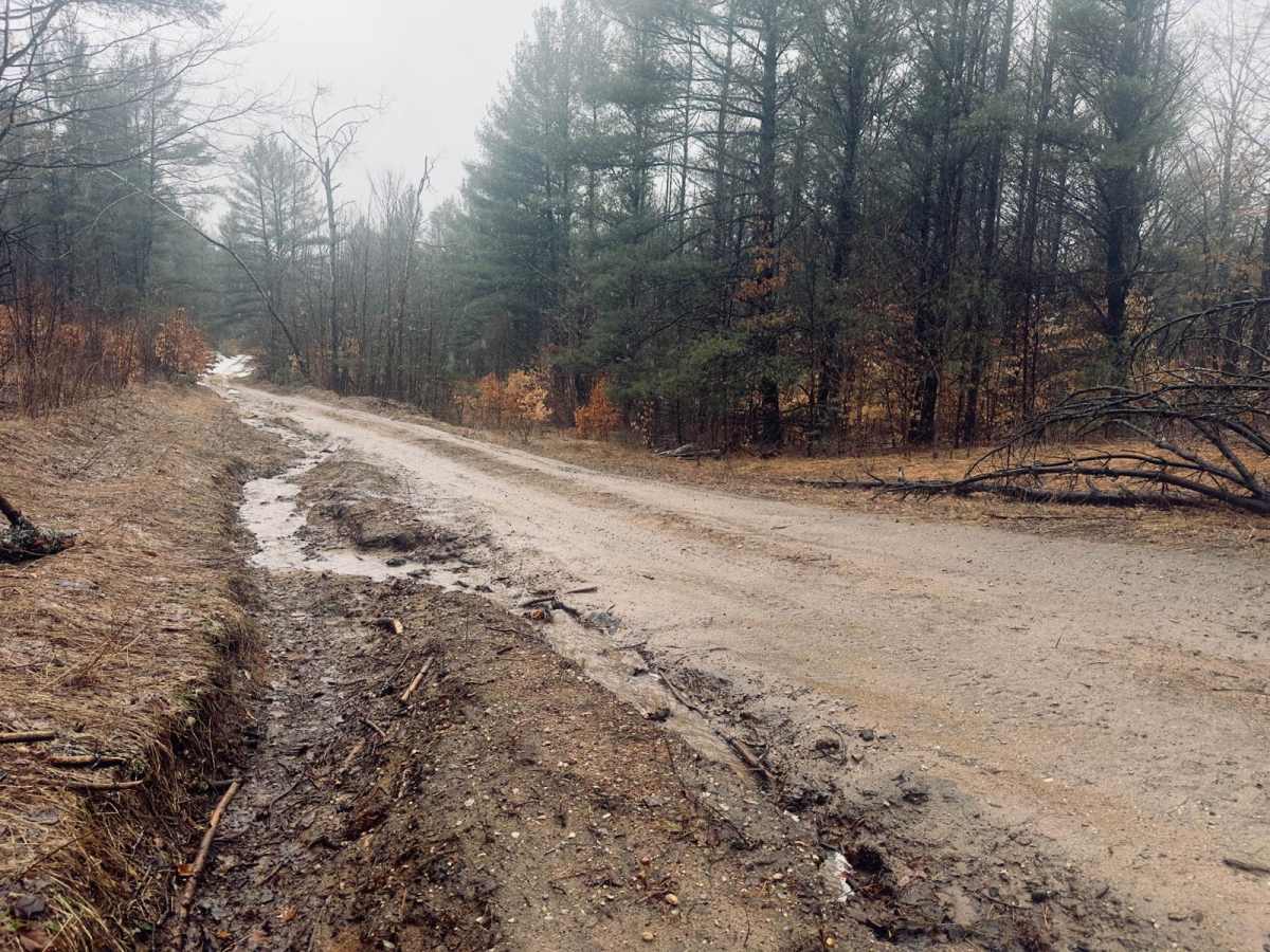 Richardson Road Northwest trail photo