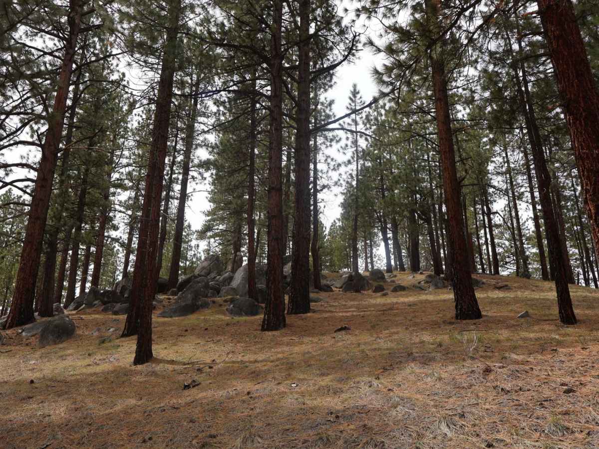 Long Valley Road photo 2
