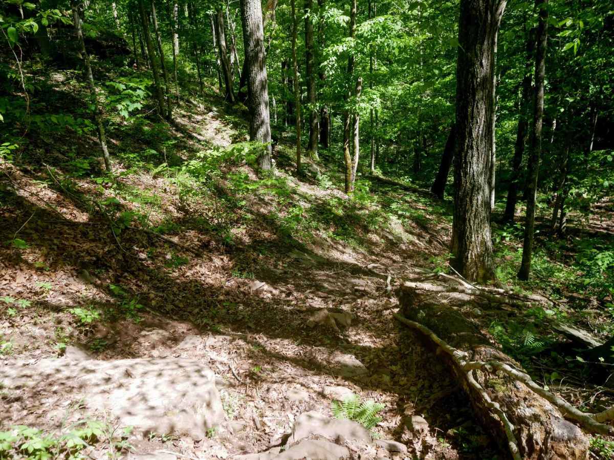 Trail 25 photo 5