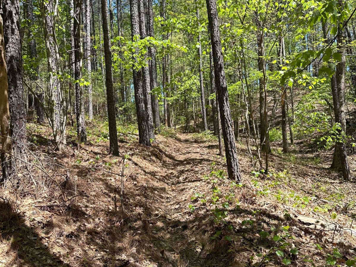 Trail 14 photo 4