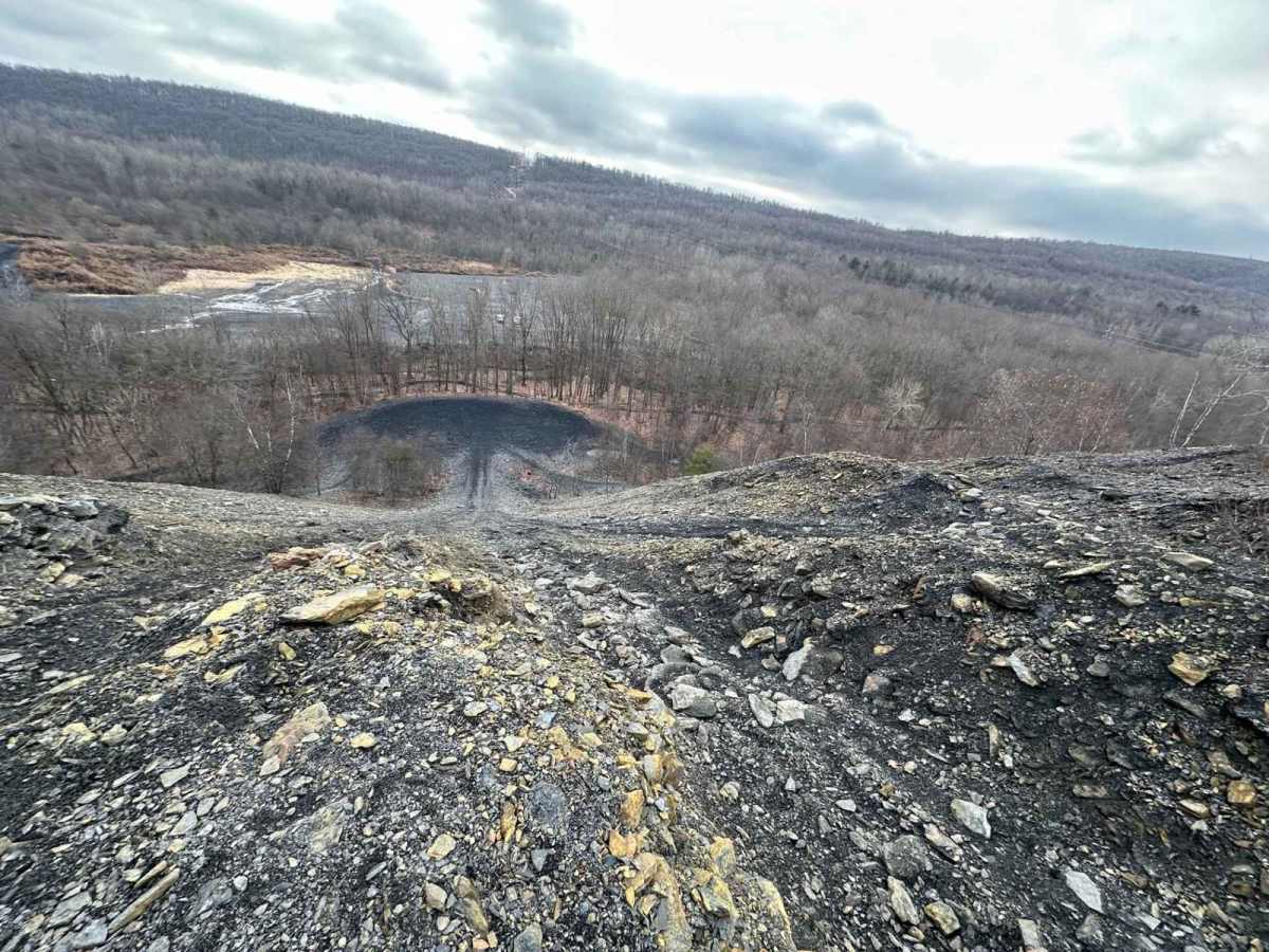 Locust Gap 8 trail photo
