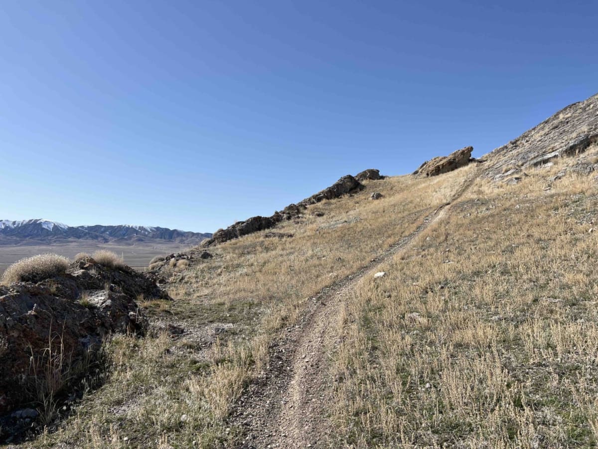 Evasive Maneuvers trail photo
