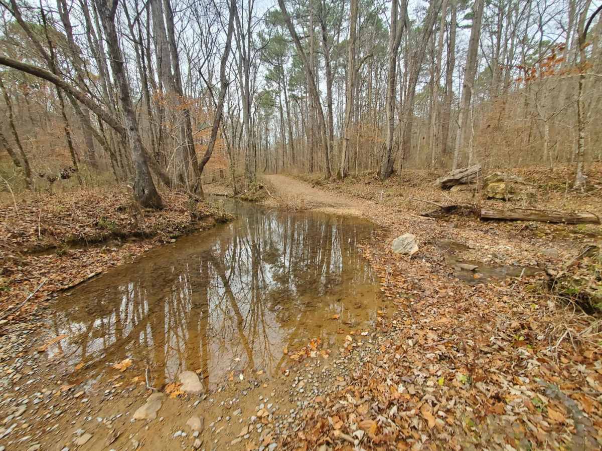 Stover Creek Road - FR 207 photo 5