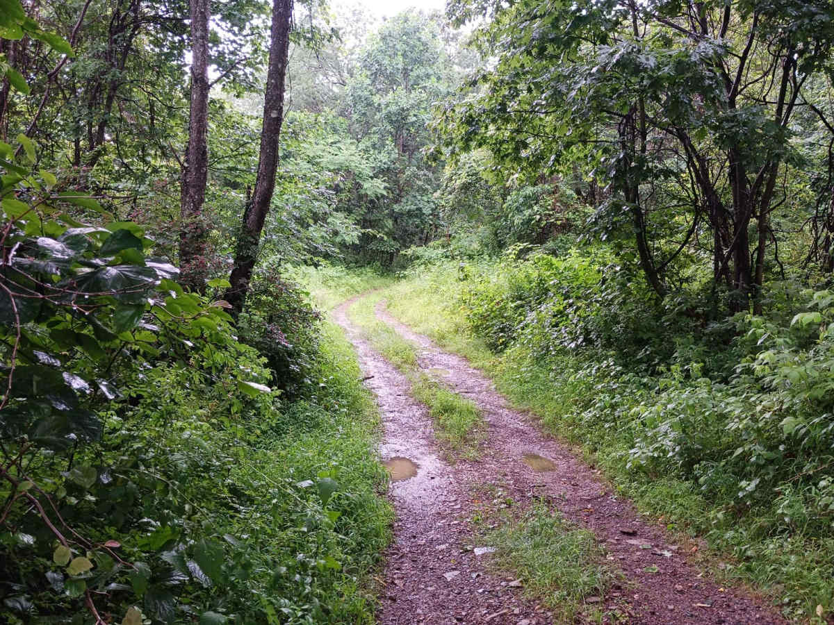Trail 4G - Rock Run Recreation Area photo 4