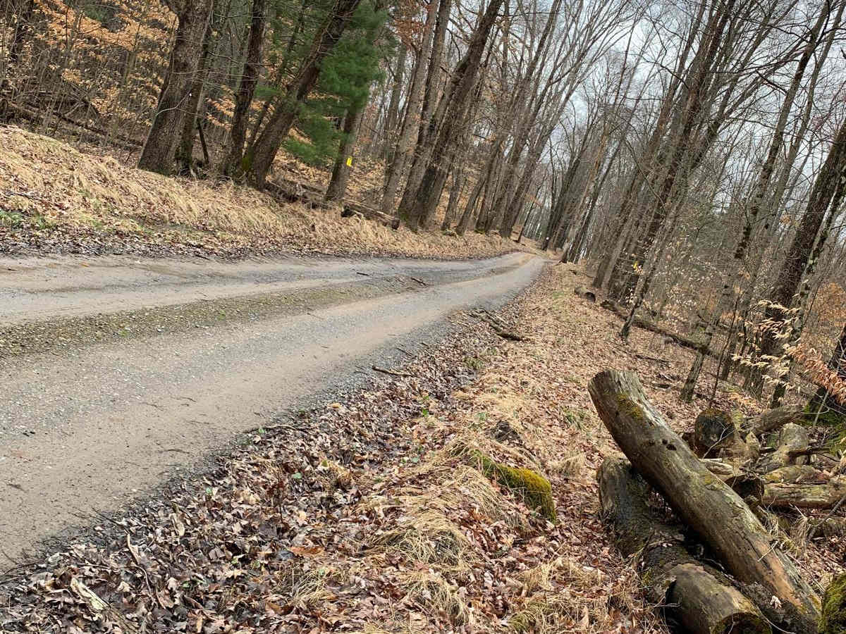 Dark Hollow trail photo