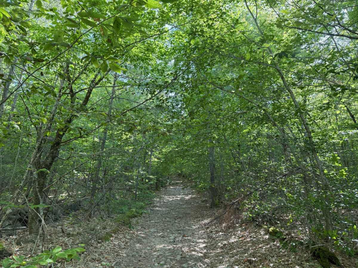 Caverly Road to Devil's Den Road photo 3