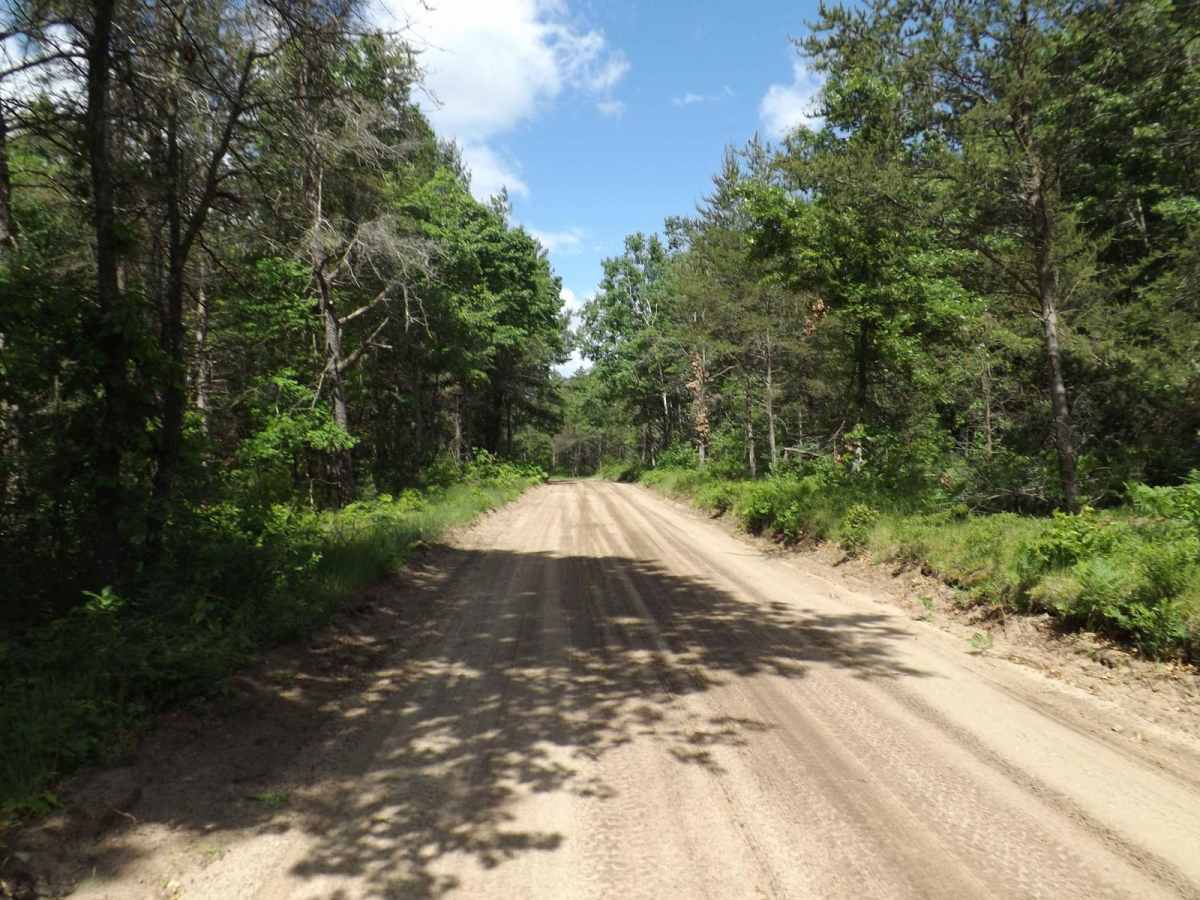 Sumac Trail photo 2