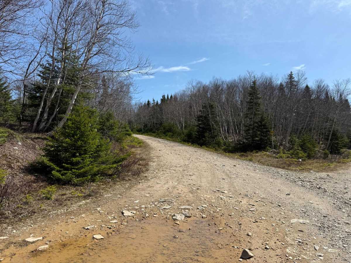 McMillan Flowage Trail photo 2