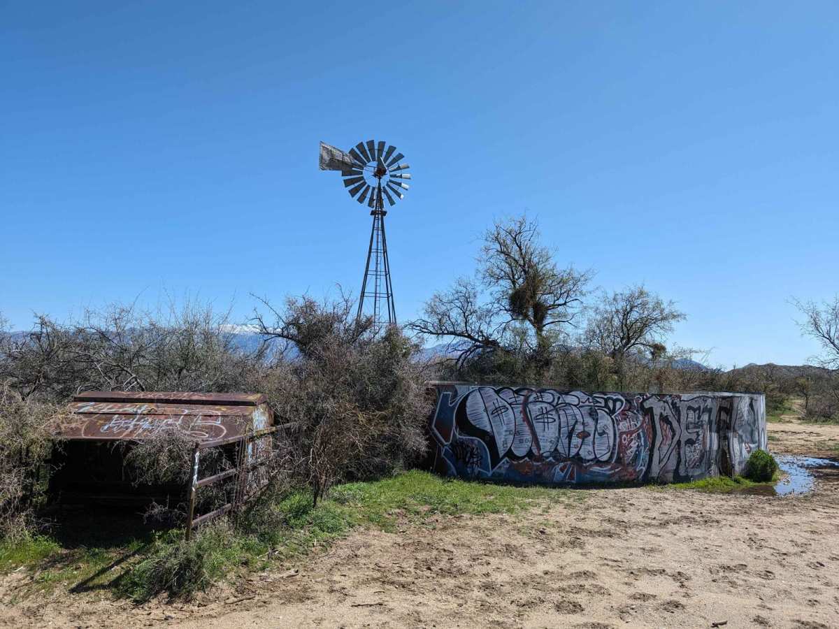 East Edwin Road trail photo