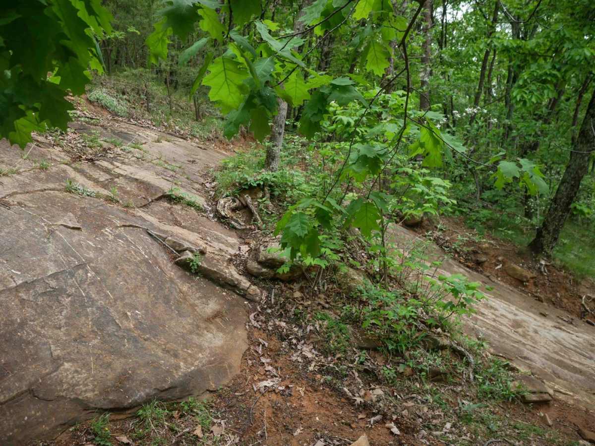 9C trail photo