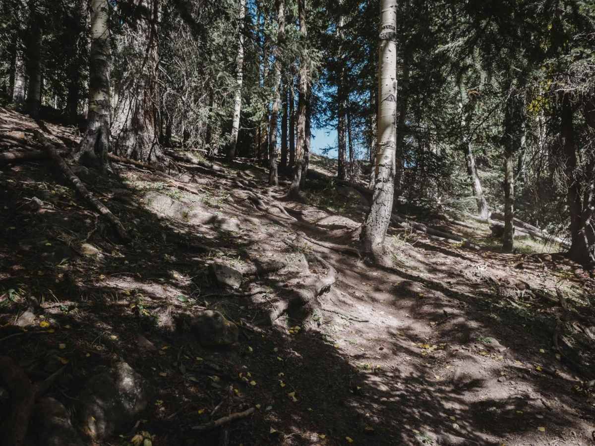 Little Red Trail photo 6