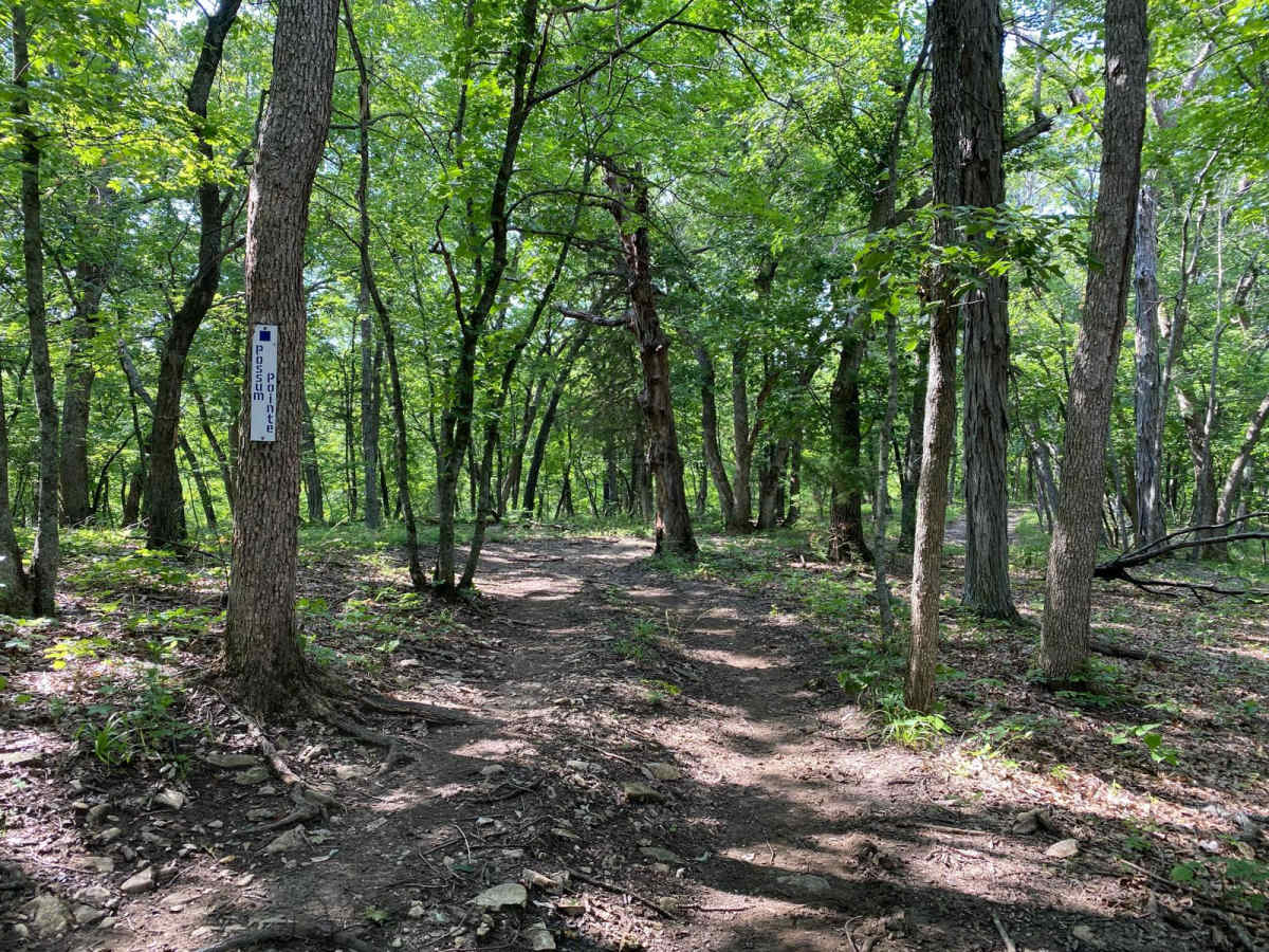 Possum Point trail photo