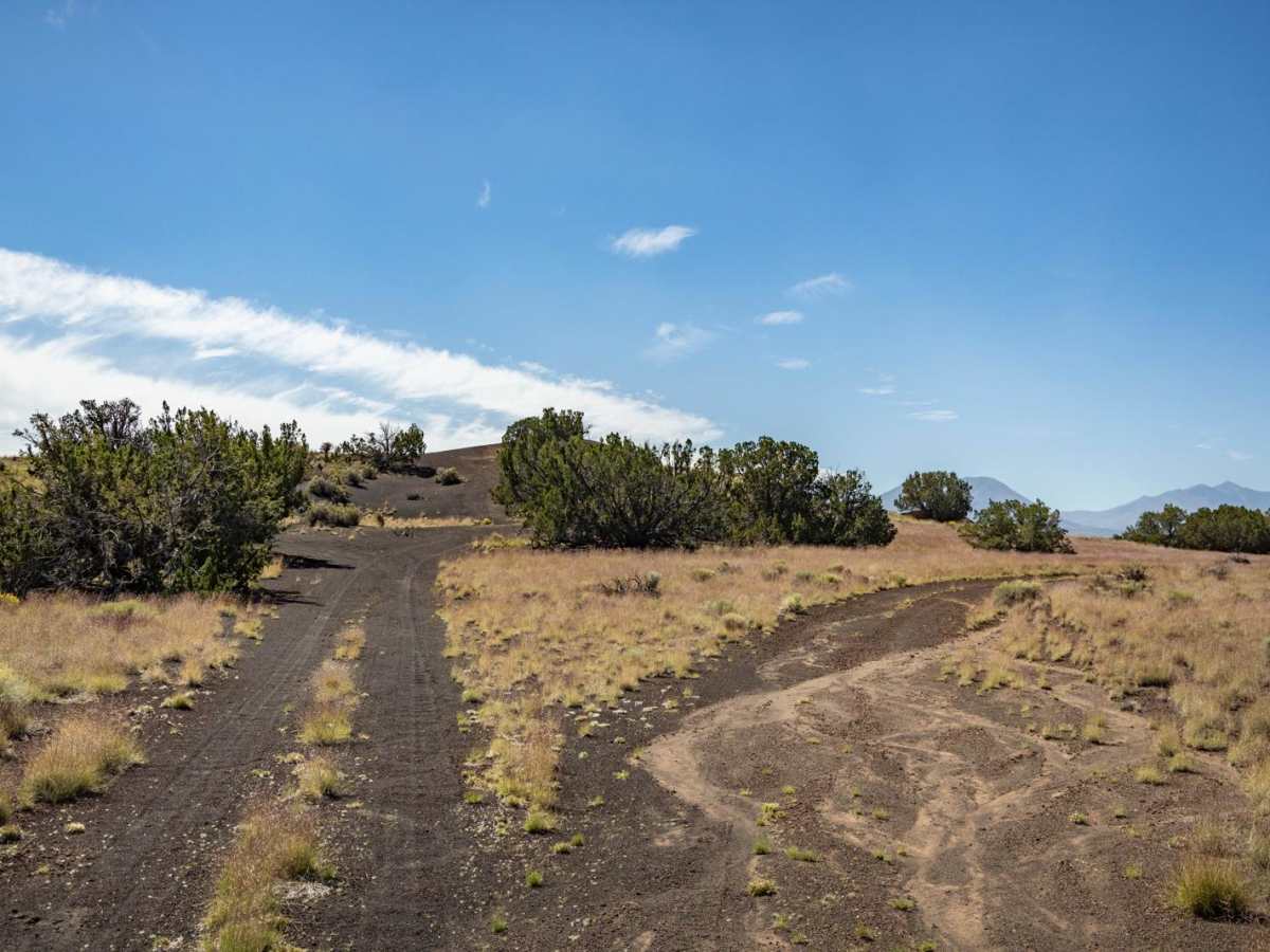 150 Pits trail photo
