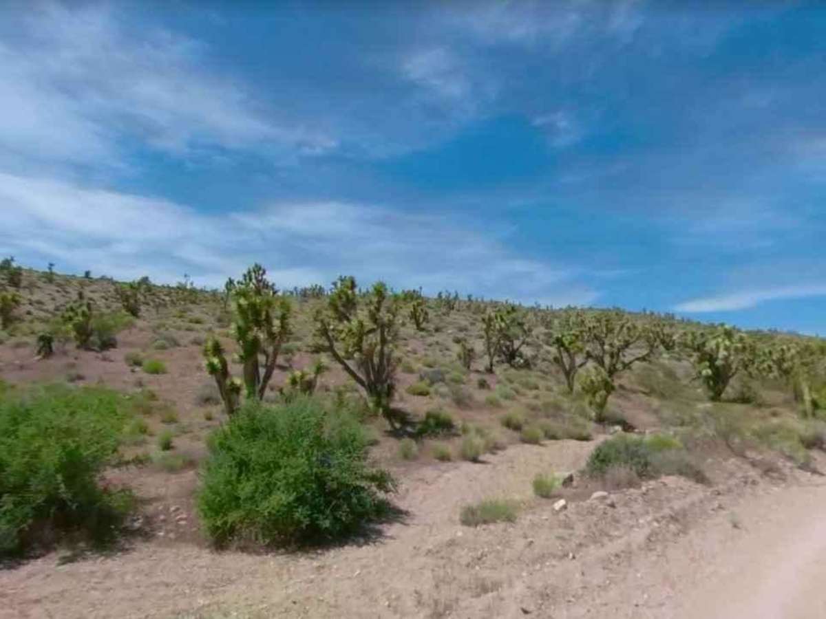 Water Trough Road-BLM30084 photo 4