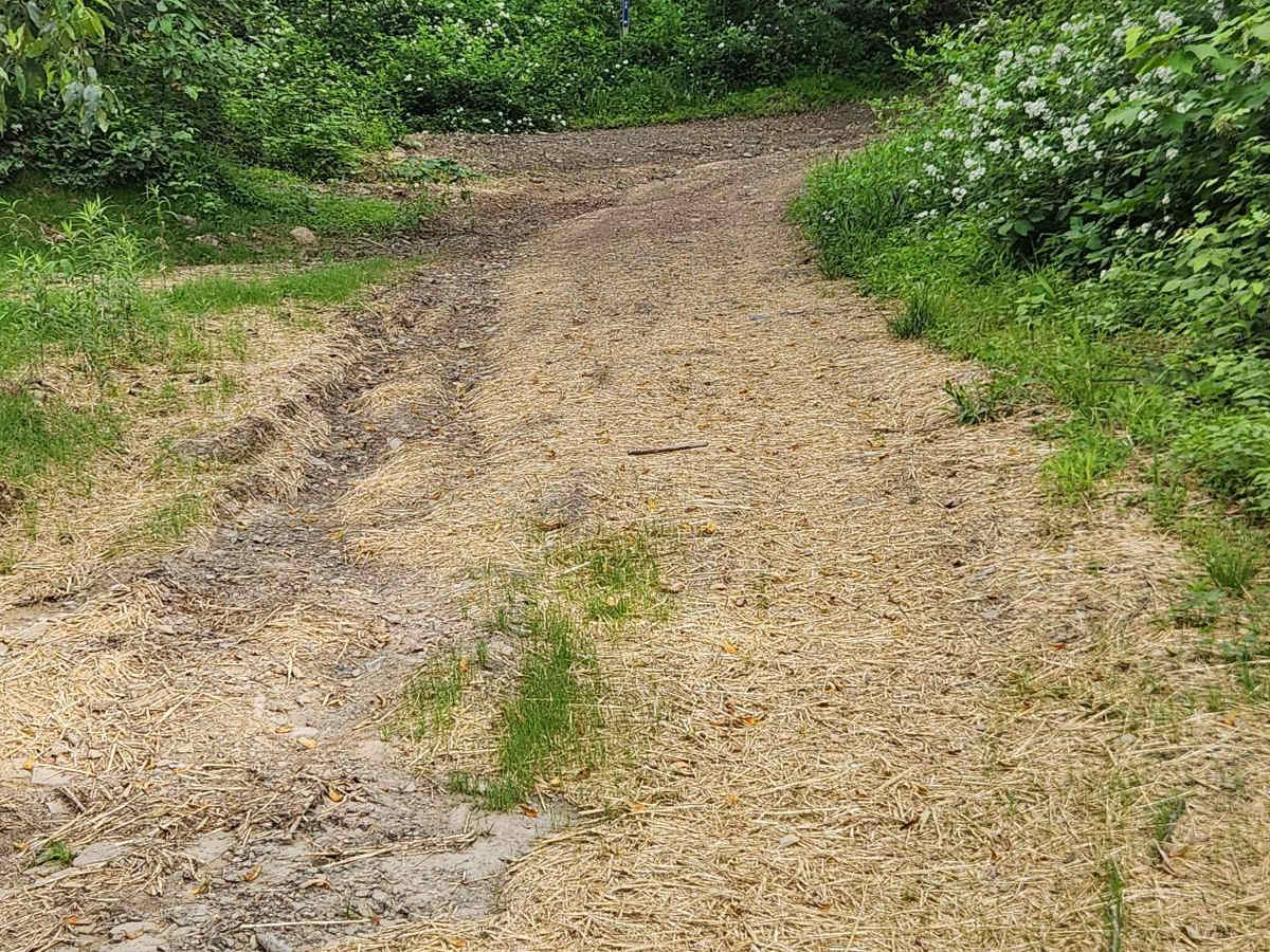 CW Road - Rock Run Recreation Area photo 4