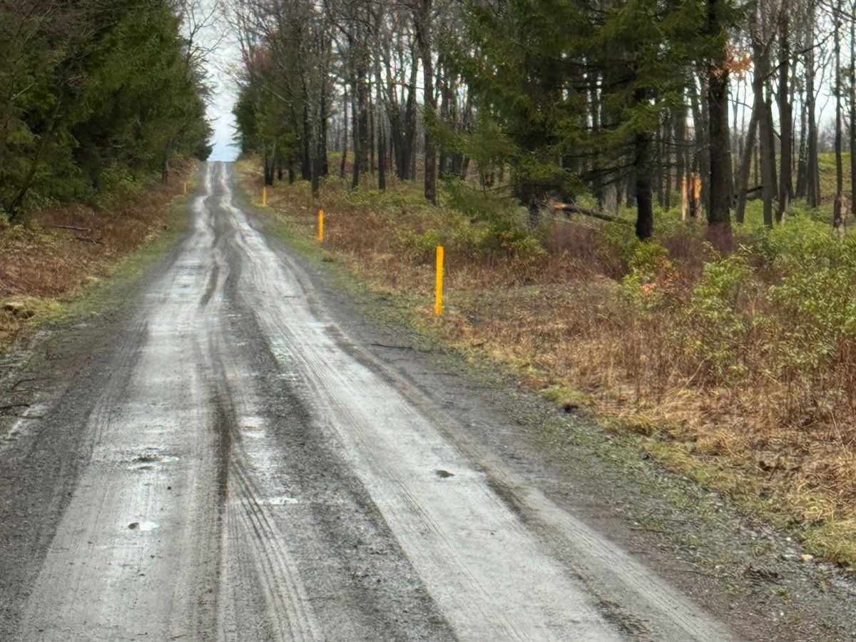 Fields Ridge Road photo 4