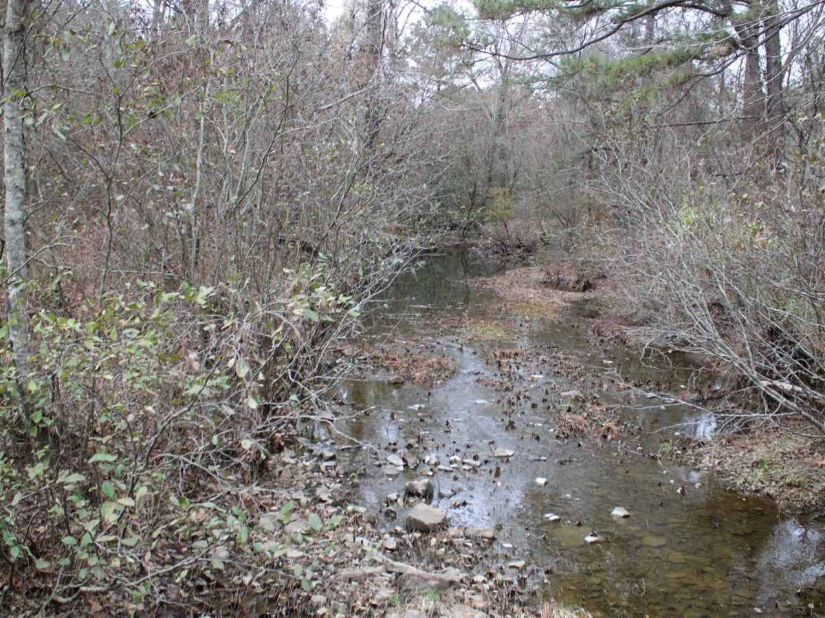 County Road 55 photo 5