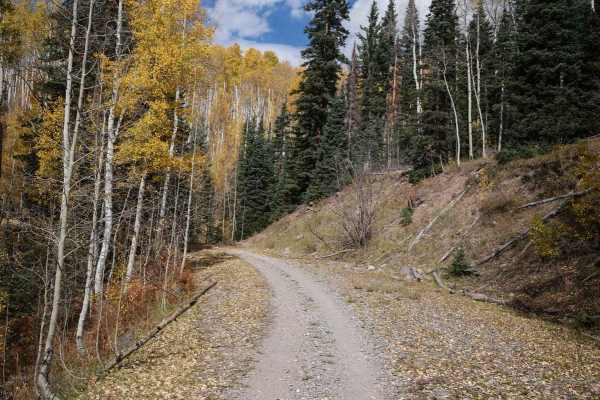 Stealey Mountain ATV