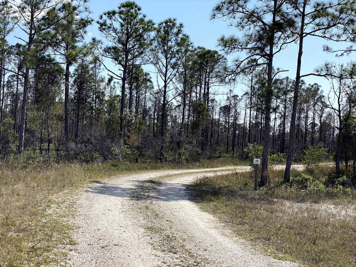 Outhouse Court trail photo
