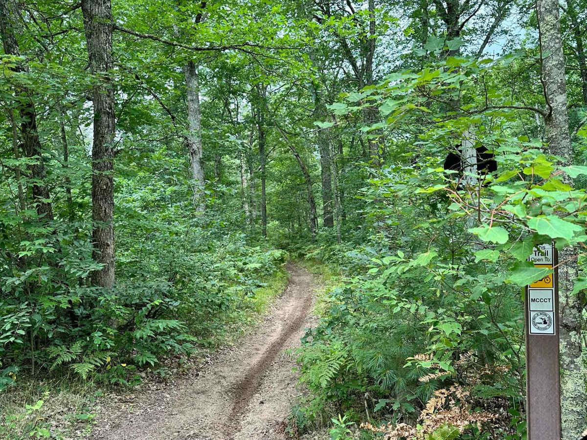 N/W Little Manistee Motorcycle Trail photo 6