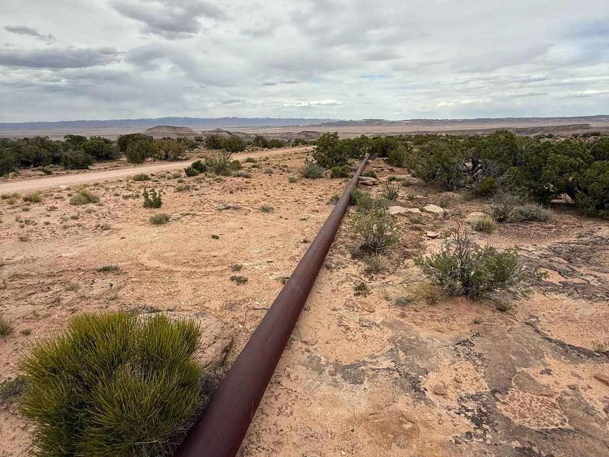 Juniper Trail photo 5