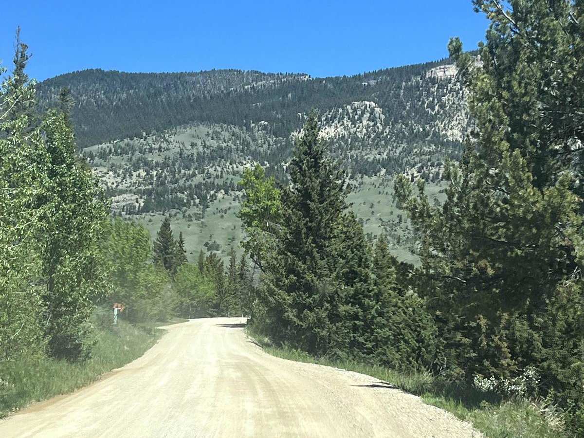 Sunlight Road photo 5
