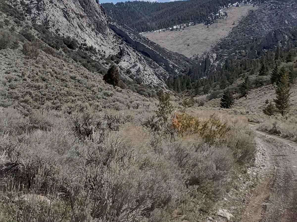 Wood Canyon - FS 561 photo 3