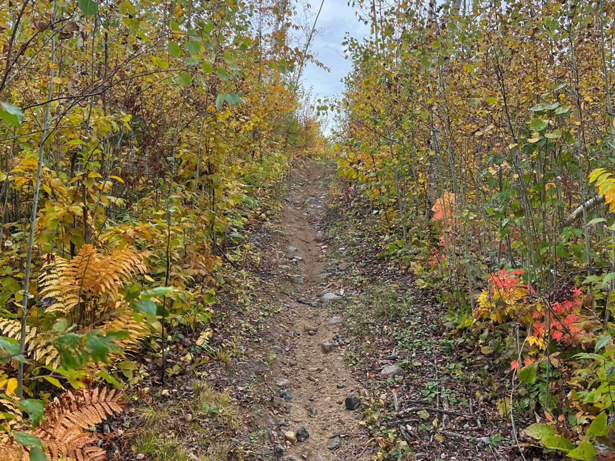 Paul Bunyan Handlebar Nail Biter photo 5