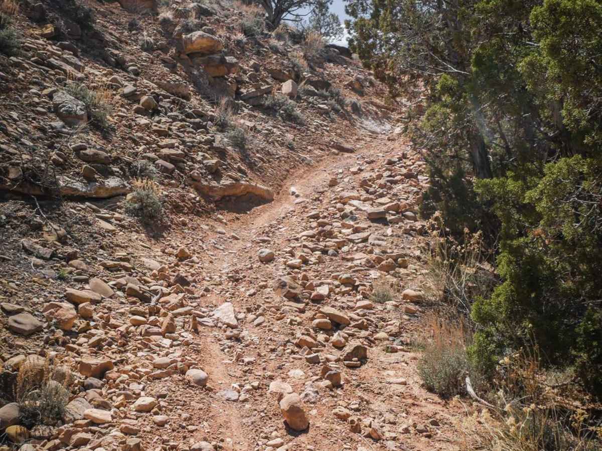 Piney Creek photo 2
