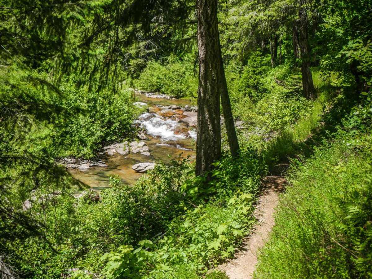 Upper Slate Creek photo 6