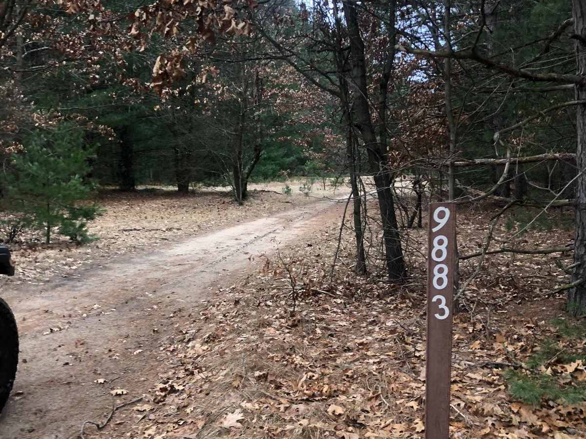 NFS Road 9883 trail photo