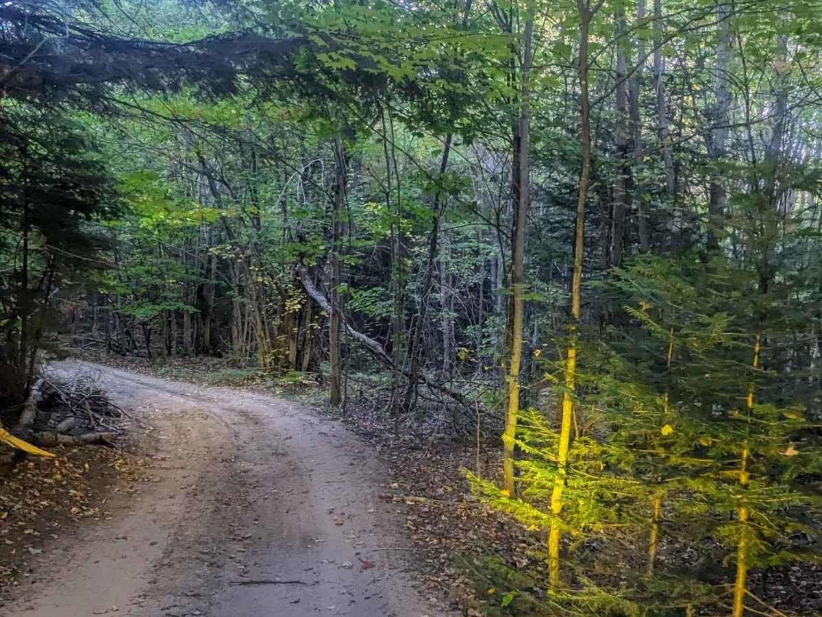 Back Country Route to Crisp Point Lighthouse photo 3