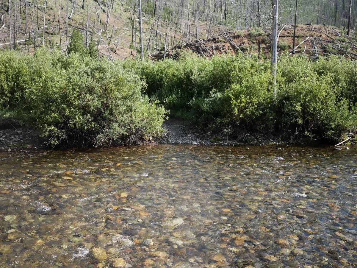 Deadwood Creek photo 2