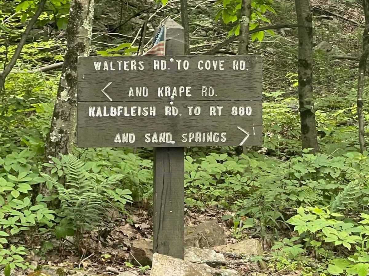 Kalbfleish Road trail photo