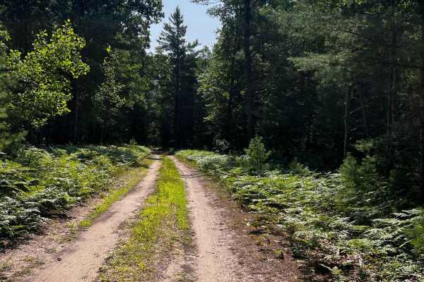 Blind Creek Trail