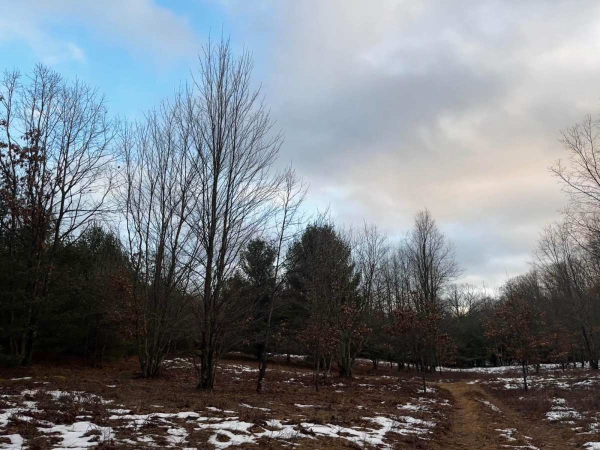 FS 8092 trail photo