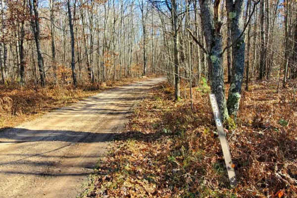 Trail 5578