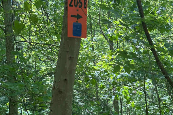 205A
