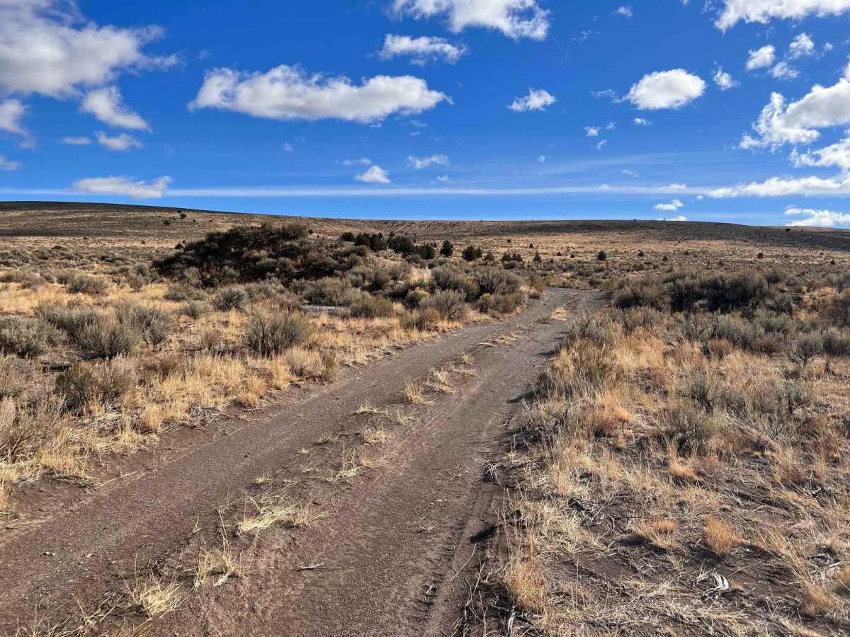 Burnt Flat Road photo 5