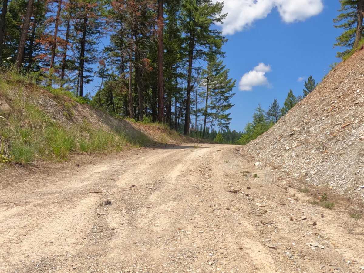 Flat Creek Road - Pardee Creek Road trail photo