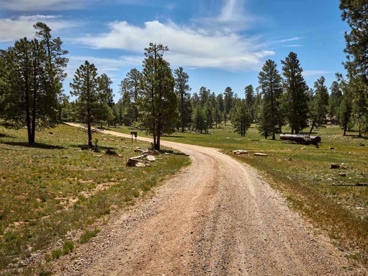 Skinner Combine trail photo
