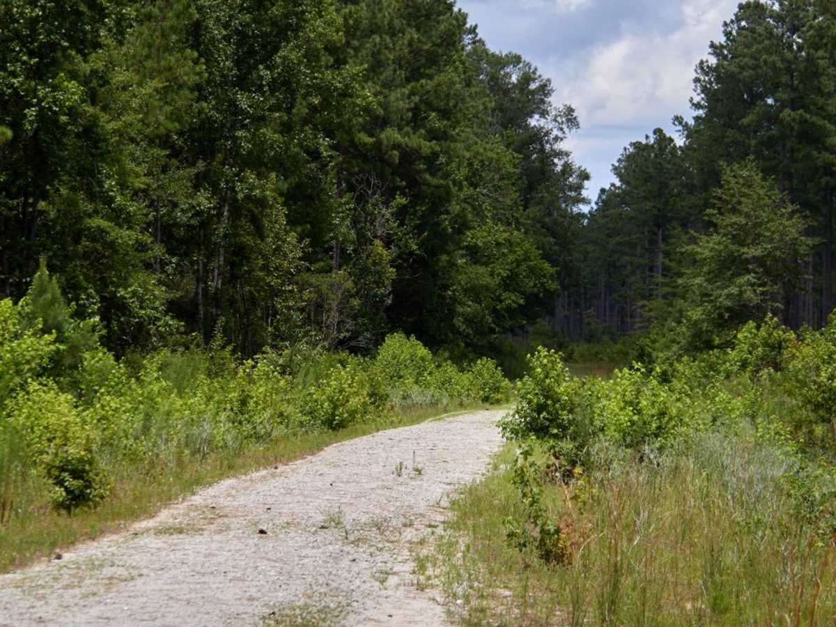Middle Road photo 3