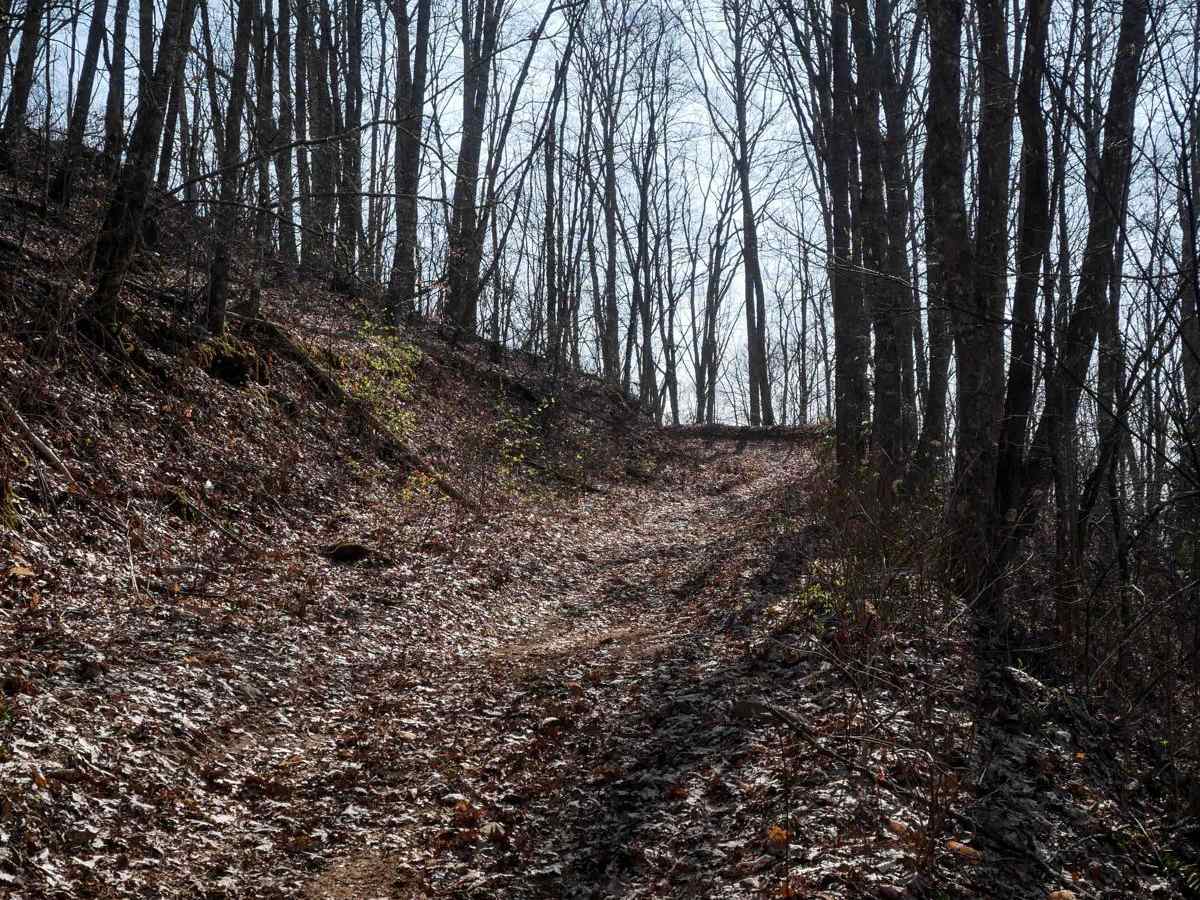Upper Wayehutta Creek Trail 1A photo 2