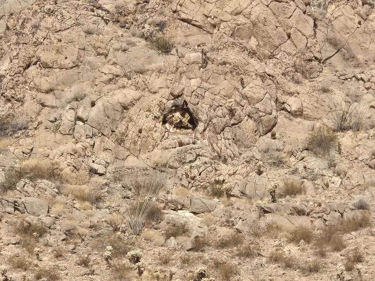 Shaky Trail photo 2