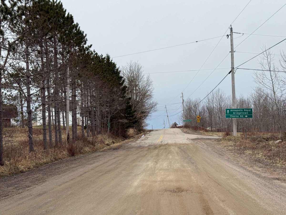 West Dalhousie Road photo 4