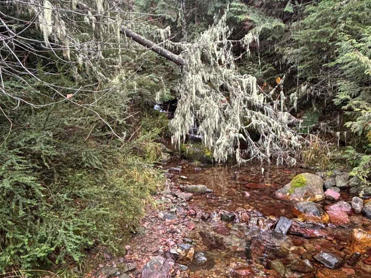 Old Highway 2 photo 5