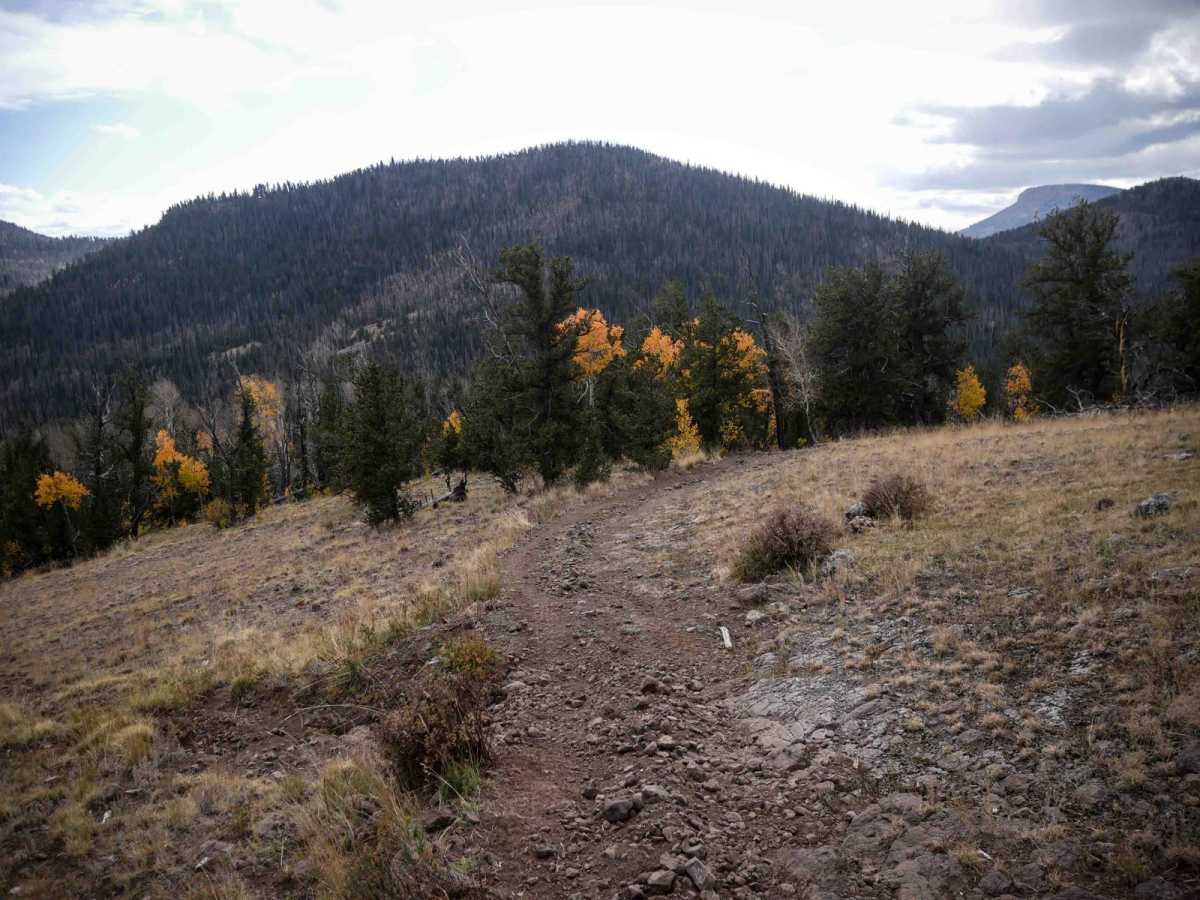 La Garita Creek Cutoff ATV photo 3