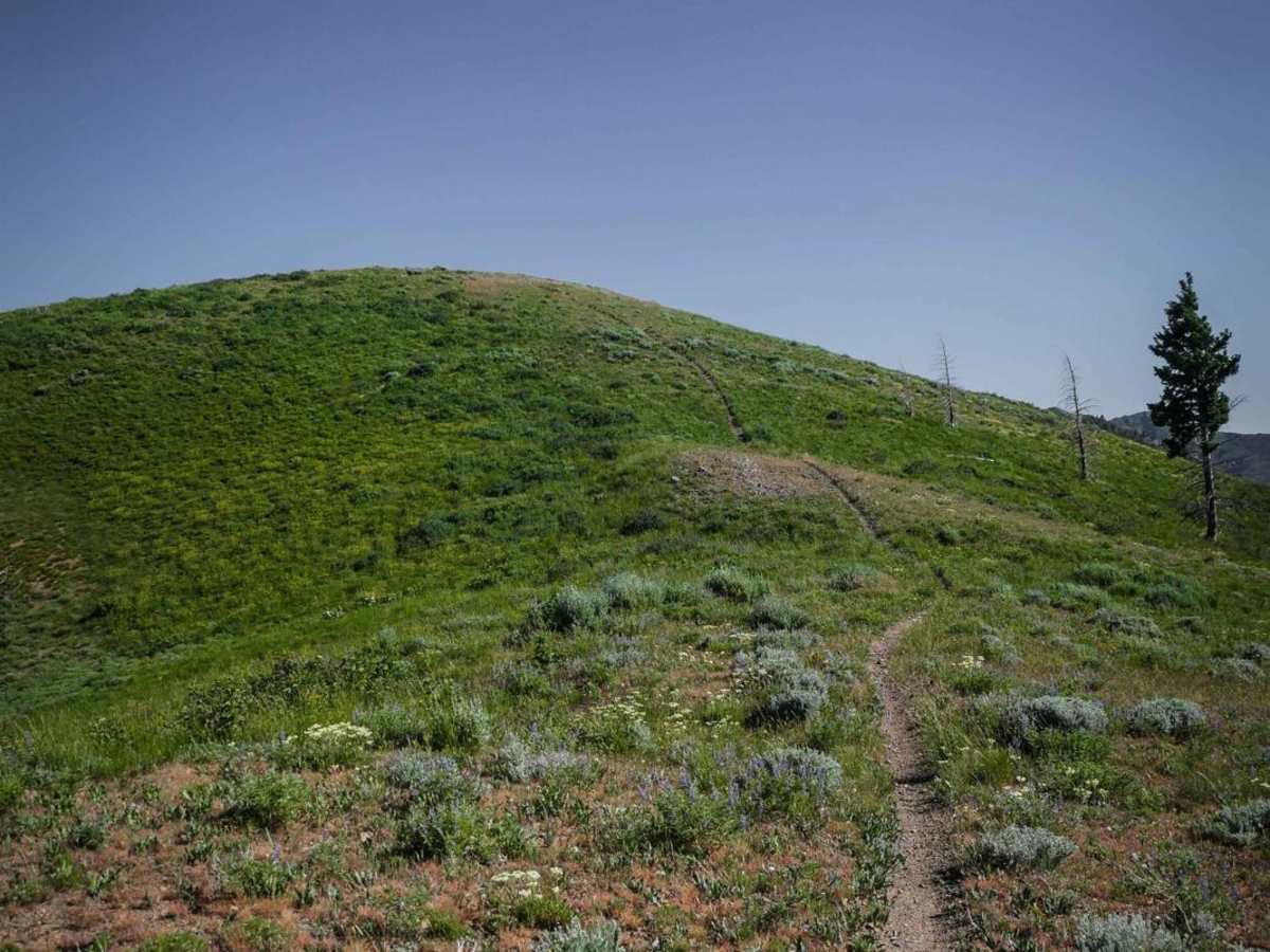 Panther Gulch  - Imperial Connect photo 2